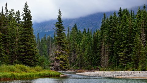 Обои деревья, река, горы, природа, лес, ели, хвойный лес, trees, river, mountains, nature, forest, ate, coniferous forest разрешение 7680x4320 Загрузить