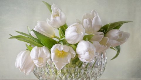Обои цветы, букет, тюльпаны, белые, ваза, хрусталь, flowers, bouquet, tulips, white, vase, crystal разрешение 2048x1434 Загрузить