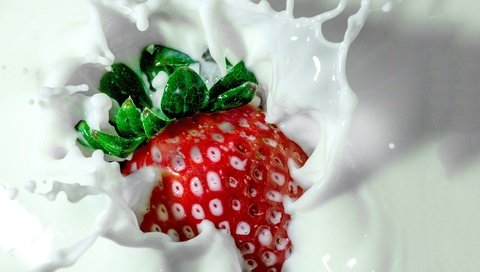 Обои ягода, еда, клубника, брызги, всплеск, молоко, berry, food, strawberry, squirt, splash, milk разрешение 4928x3264 Загрузить