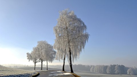 Обои небо, дорога, деревья, природа, зима, иней, the sky, road, trees, nature, winter, frost разрешение 3840x2400 Загрузить