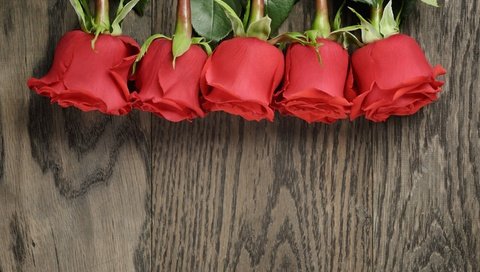 Обои цветы, розы, букет, красные розы, flowers, roses, bouquet, red roses разрешение 2880x1800 Загрузить