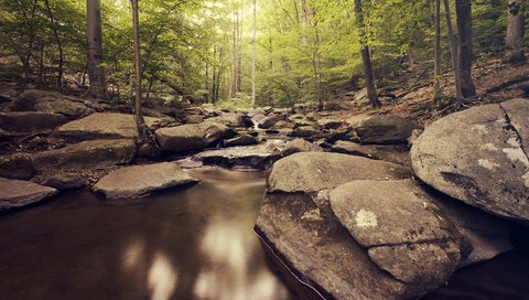 Обои река, природа, камни, лес, river, nature, stones, forest разрешение 2880x1800 Загрузить