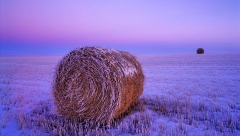 Обои снег, заморозки, закат, северная дакота, поле, сено, иней, сша, солома, стог, snow, freezing, sunset, north dakota, field, hay, frost, usa, straw, stack разрешение 1920x1200 Загрузить