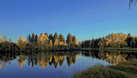 Обои небо, деревья, река, природа, лес, отражение, пейзаж, diego lapetina, the sky, trees, river, nature, forest, reflection, landscape разрешение 1920x1200 Загрузить