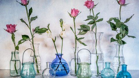 Обои цветы, розы, стекло, бутылки, натюрморт, банки, вазы, flowers, roses, glass, bottle, still life, banks, vases разрешение 2560x1761 Загрузить
