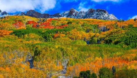 Обои небо, аспен, облака, горы, лес, склон, осень, сша, колорадо, the sky, aspen, clouds, mountains, forest, slope, autumn, usa, colorado разрешение 2048x1208 Загрузить