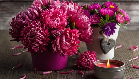 Обои цветы, лепестки, горшки, свечка, свеча, астры, flowers, petals, pots, candle, asters разрешение 4256x2832 Загрузить