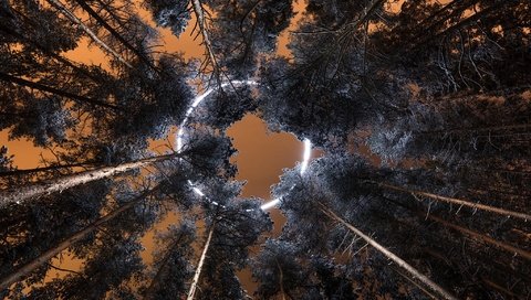 Обои небо, деревья, круг, the sky, trees, round разрешение 2047x1300 Загрузить