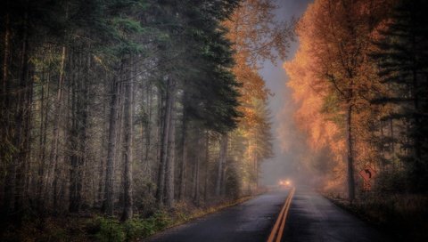 Обои дорога, лес, осень, road, forest, autumn разрешение 2048x1370 Загрузить