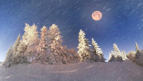 Обои небо, ели, свет, сумерки, ночь, сугробы, снег, метель, природа, в снегу, лес, полнолуние, зима, лунный свет, луна, снегопад, the sky, ate, light, twilight, night, the snow, snow, blizzard, nature, in the snow, forest, the full moon, winter, moonlight, the moon, snowfall разрешение 3840x2160 Загрузить
