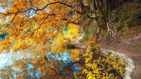 Обои отражение, парк, осень, пруд, reflection, park, autumn, pond разрешение 1920x1080 Загрузить