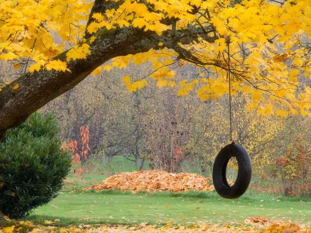 Обои листья, осень, колесо, leaves, autumn, wheel разрешение 1920x1080 Загрузить