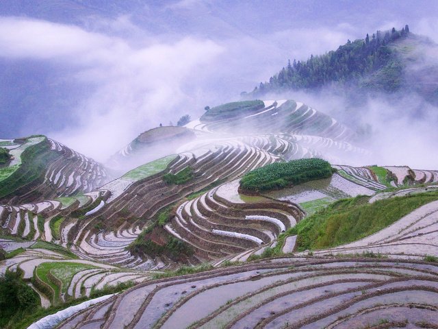 Обои горы, туман, китай, рисовые поля, mountains, fog, china, rice fields разрешение 1920x1200 Загрузить
