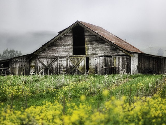 Обои природа, растения, пейзаж, сад, дом, заброшенная, постройка, nature, plants, landscape, garden, house, abandoned, building разрешение 5024x3168 Загрузить