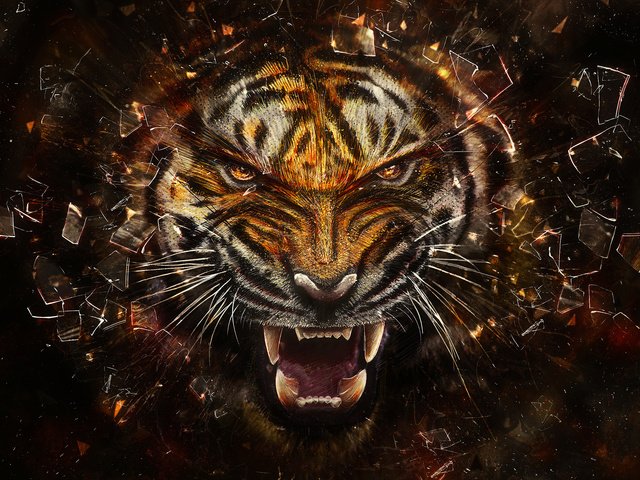 Обои тигр, осколки, стекло, tiger, fragments, glass разрешение 2560x1440 Загрузить