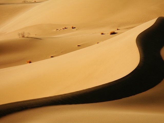 Обои пустыня, тень, бархан, desert, shadow, barkhan разрешение 1920x1200 Загрузить