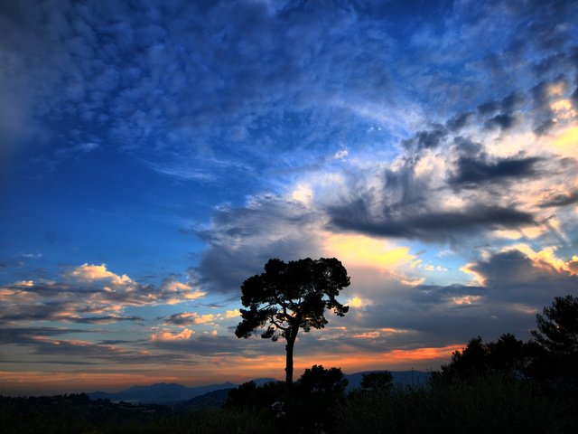 Обои небо, облака, дерево, the sky, clouds, tree разрешение 2560x1600 Загрузить