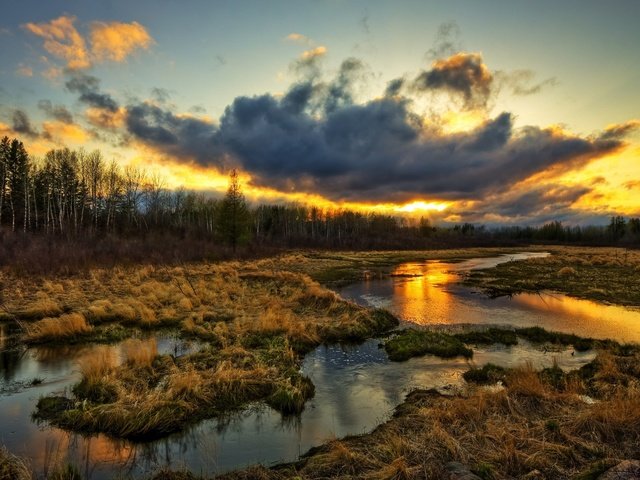 Обои трава, облака, вода, природа, болото, закат, тучи, ручей, grass, clouds, water, nature, swamp, sunset, stream разрешение 2560x1600 Загрузить