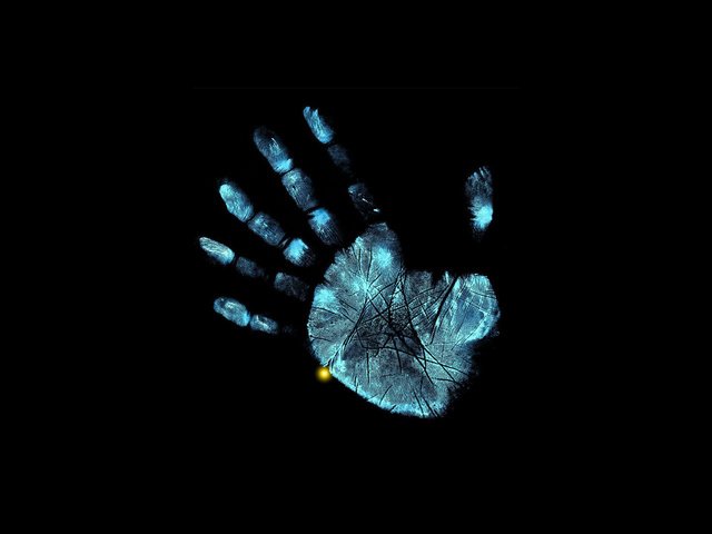 Обои рука, пальцы, рентген, лис, грань, за гранью, бахрома, hand, fingers, x-ray, fox, face, beyond, fringe разрешение 2560x1600 Загрузить