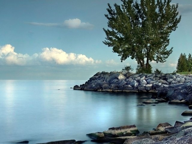 Обои небо, озеро, природа, дерево, камни, берег, море, the sky, lake, nature, tree, stones, shore, sea разрешение 1920x1080 Загрузить