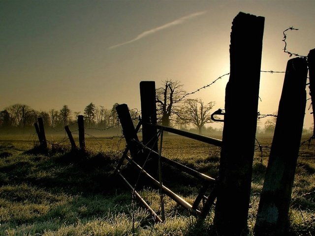 Обои свет, трава, утро, проволока, забор, ограждение, заморозки, light, grass, morning, wire, the fence, freezing разрешение 1920x1080 Загрузить