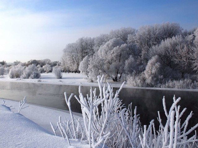 Обои небо, деревья, река, снег, природа, зима, the sky, trees, river, snow, nature, winter разрешение 1920x1200 Загрузить