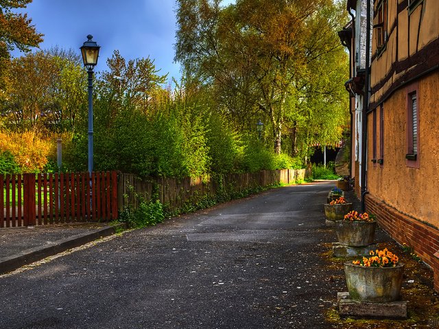 Обои деревья, осень, забор, улица, дом, фонарь, trees, autumn, the fence, street, house, lantern разрешение 1920x1200 Загрузить