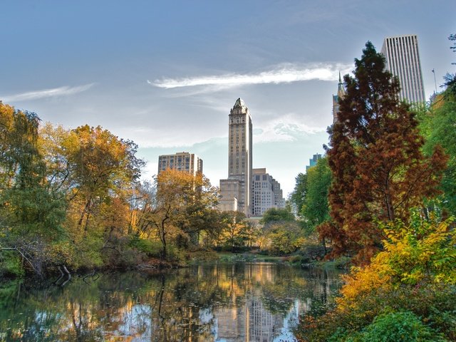 Обои небоскребы, нью-йорк, центральный парк, skyscrapers, new york, central park разрешение 4226x2798 Загрузить