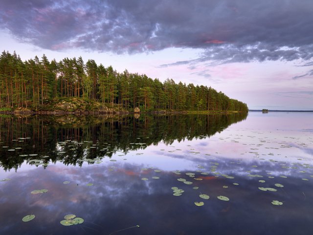Обои деревья, озеро, лес, швеция, остров, швеции, lake teen, n__rke, trees, lake, forest, sweden, island разрешение 1920x1200 Загрузить