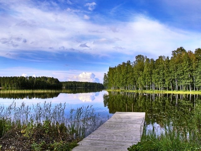 Обои деревья, озеро, мостик, пейзаж, финляндия, trees, lake, the bridge, landscape, finland разрешение 2560x1600 Загрузить