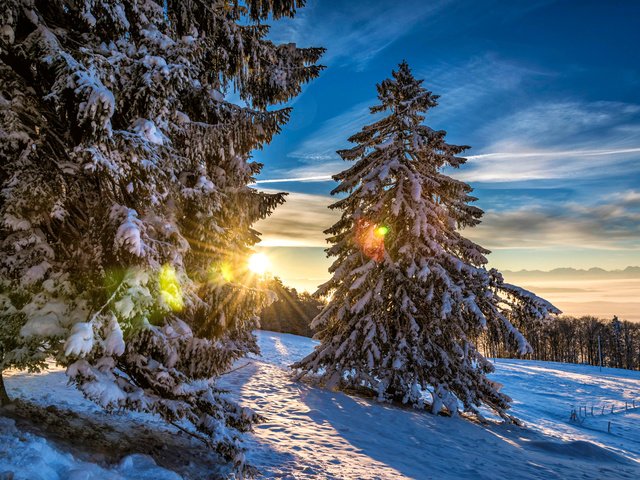 Обои солнце, снег, лес, зима, швейцария, grenchenberg, the sun, snow, forest, winter, switzerland разрешение 2048x1367 Загрузить