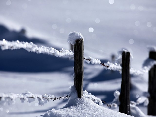 Обои снег, природа, зима, забор, snow, nature, winter, the fence разрешение 2560x1600 Загрузить