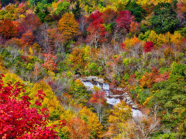 Обои деревья, осень, поток, речка, trees, autumn, stream, river разрешение 2048x1365 Загрузить