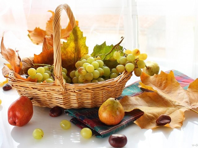 Обои листья, виноград, фрукты, осень, корзинка, груши, leaves, grapes, fruit, autumn, basket, pear разрешение 1920x1293 Загрузить