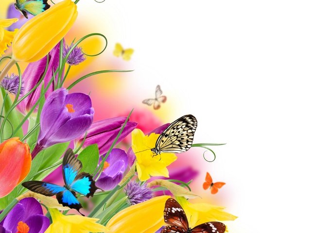 Обои цветы, парное, насекомые, butterflies, весенние, весна, красочная, тюльпаны, лиловая, бабочки, жёлтая, красива, тульпаны,  цветы, flowers, fresh, insects, spring, colorful, tulips, purple, butterfly, yellow, beautiful разрешение 2880x2760 Загрузить