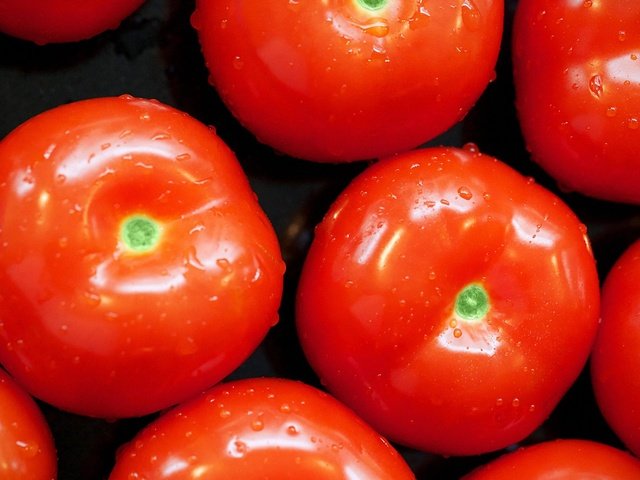 Обои капли, овощи, помидоры, томат, drops, vegetables, tomatoes, tomato разрешение 2560x1440 Загрузить