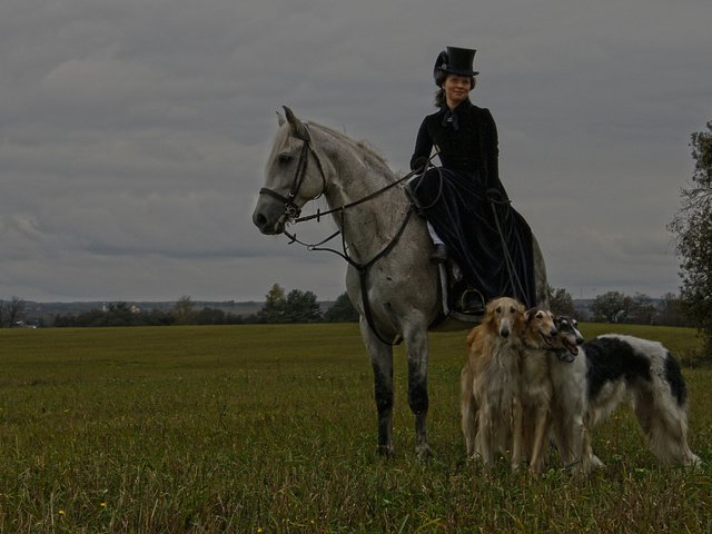 Обои лошадь, природа, костюм, шляпа, собаки, всадница, дама, horse, nature, costume, hat, dogs, rider, lady разрешение 1920x1200 Загрузить