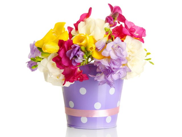Обои цветы, букет, лента, ведро, flowers, bouquet, tape, bucket разрешение 4500x3200 Загрузить