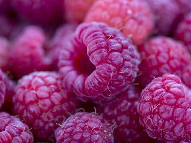Обои макро, малина, ягоды, macro, raspberry, berries разрешение 2560x1707 Загрузить