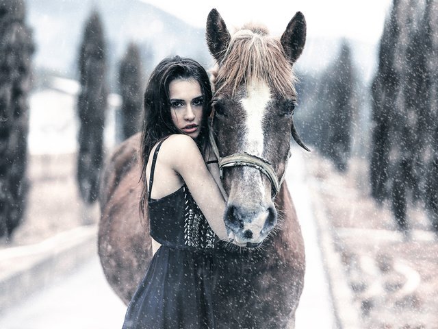 Обои лошадь, девушка, алессандро ди чикко, horse, girl, alessandro di cicco разрешение 2048x1365 Загрузить