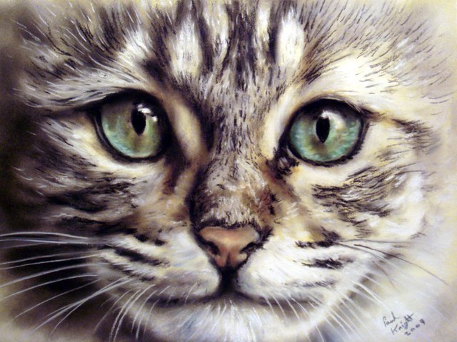 Обои морда, кот, усы, взгляд, животное, живопись, face, cat, mustache, look, animal, painting разрешение 2048x1536 Загрузить