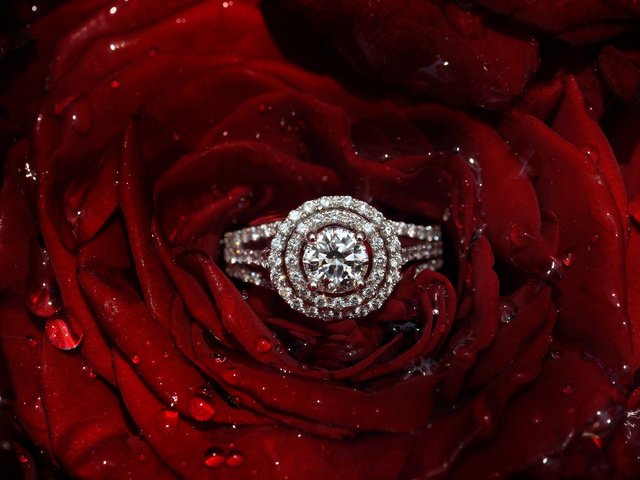 Обои цветок, капли, роза, камень, кольцо, украшение, красные лепестки, flower, drops, rose, stone, ring, decoration, red petals разрешение 2048x1363 Загрузить