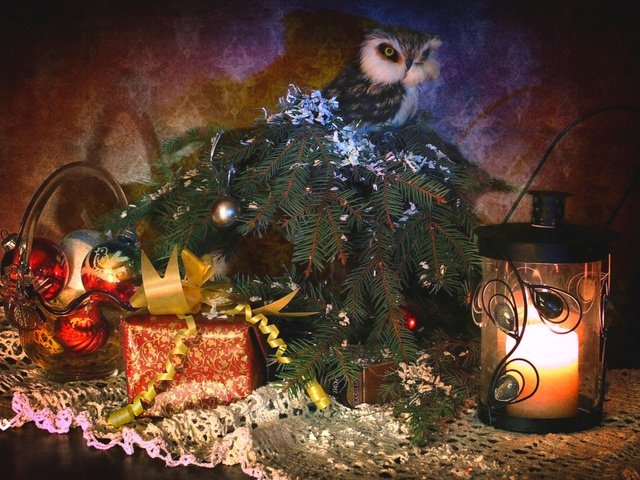 Обои сова, подарки, фонарь, ель, игрушки, owl, gifts, lantern, spruce, toys разрешение 1920x1297 Загрузить