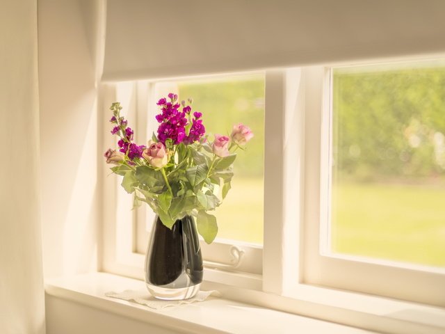 Обои цветы, фон, букет, окно, flowers, background, bouquet, window разрешение 2047x1279 Загрузить