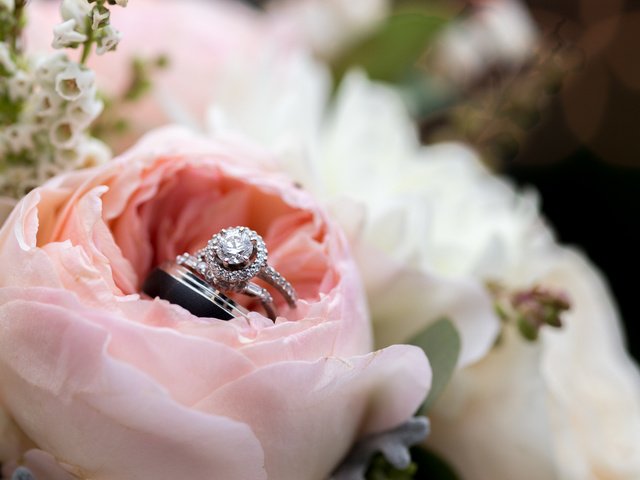 Обои цветы, роза, лепестки, кольца, flowers, rose, petals, ring разрешение 2000x1333 Загрузить