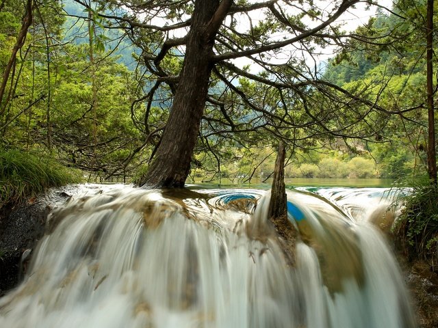 Обои деревья, река, лес, водопад, китай, jiuzhaigou national park, trees, river, forest, waterfall, china разрешение 2880x1920 Загрузить