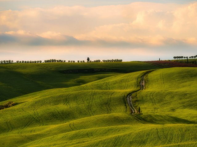 Обои небо, дорога, холмы, поле, the sky, road, hills, field разрешение 2560x1707 Загрузить