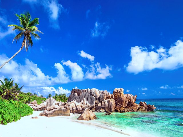 Обои море, песок, пляж, пальмы, отдых, тропики, сейшелы, sea, sand, beach, palm trees, stay, tropics, seychelles разрешение 5392x3033 Загрузить