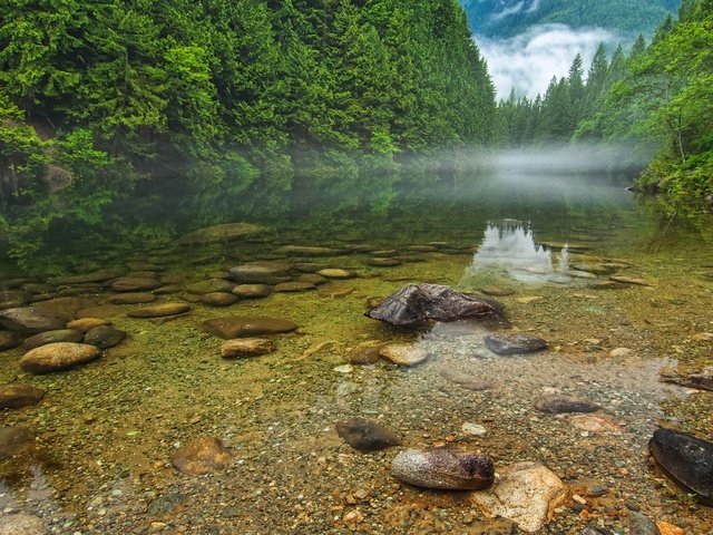 Обои деревья, вода, река, природа, камни, пейзаж, trees, water, river, nature, stones, landscape разрешение 1920x1080 Загрузить