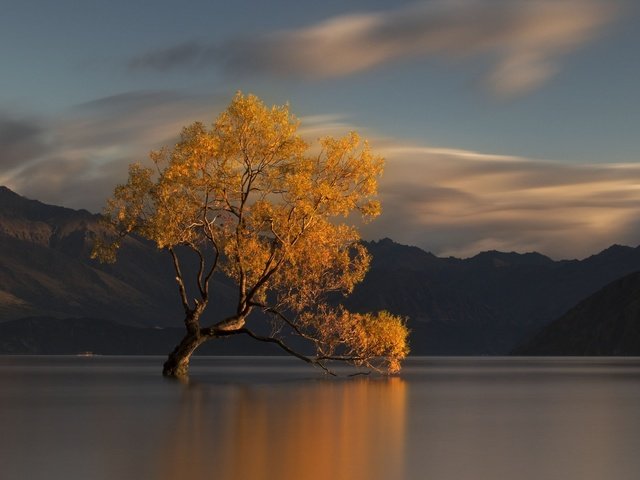 Обои вода, озеро, горы, природа, дерево, осень, новая зеландия, water, lake, mountains, nature, tree, autumn, new zealand разрешение 2198x1466 Загрузить